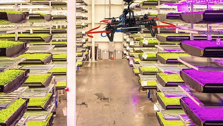 The flying horticulturist