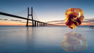 bridge