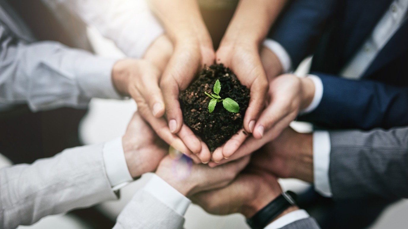 hands holding a plant