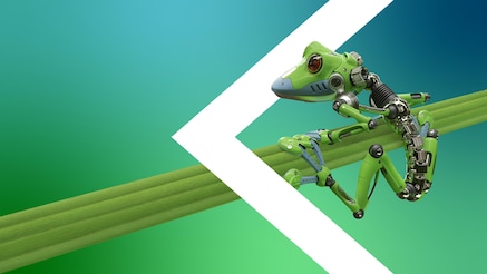a robot frog