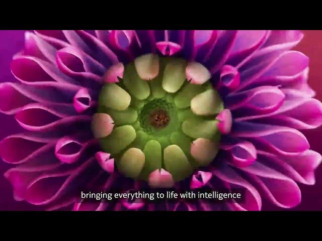 Watch Harness the exponential potential of networks on YouTube.